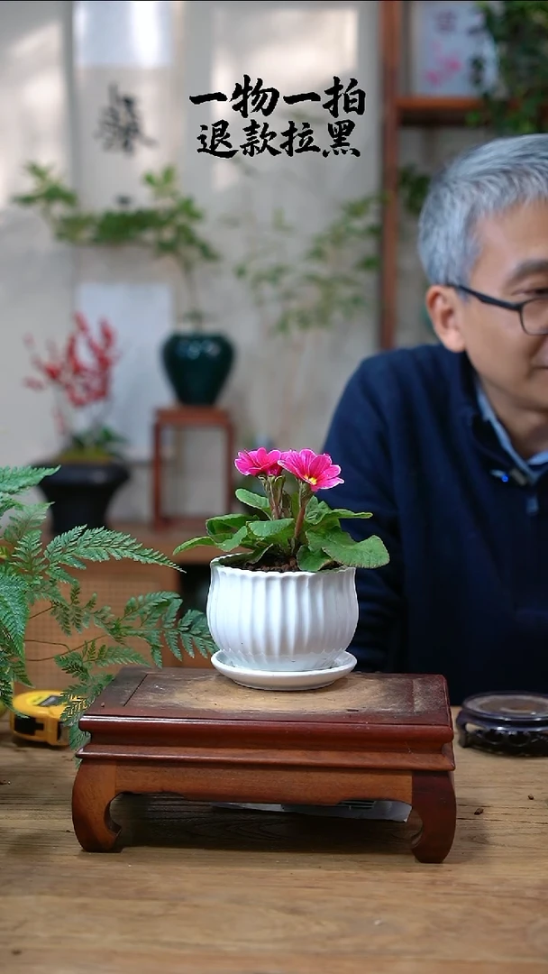 完全开放e****s报春071