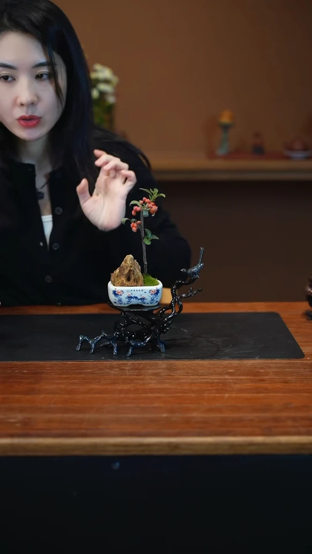 全部花朵火棘火棘盆景盆景盆景