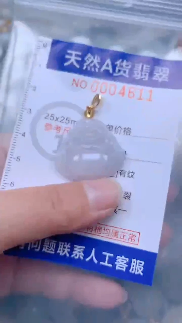 翡翠未镶嵌吊坠(不含链)1