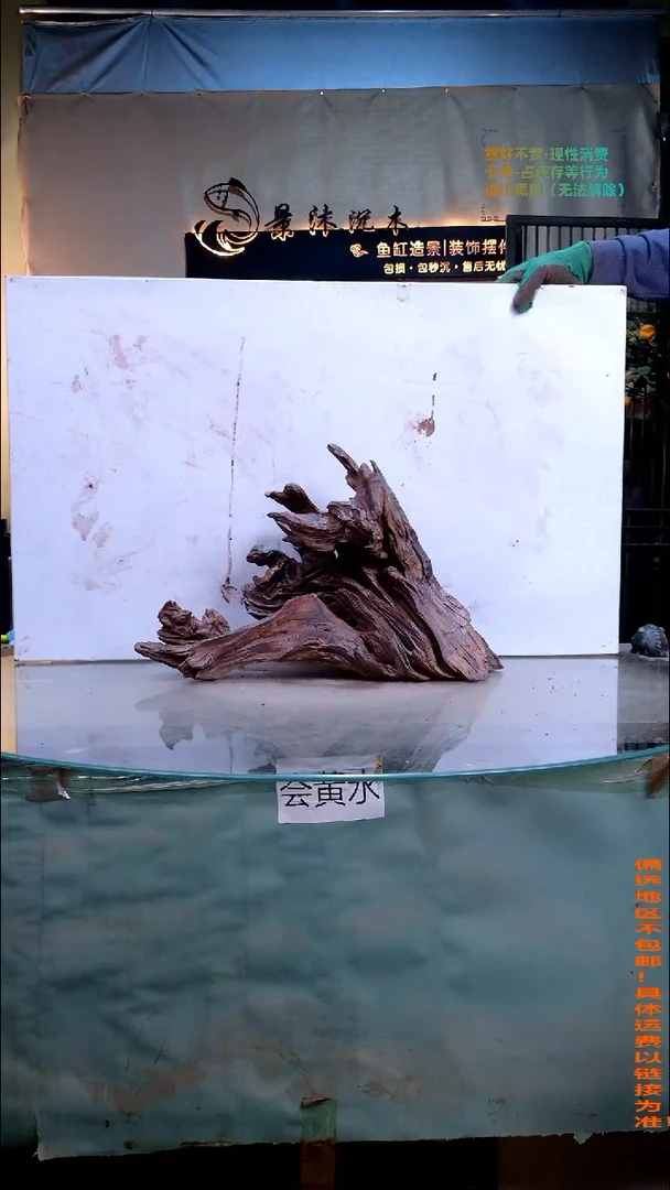 景沐沉木K189 50-20-32