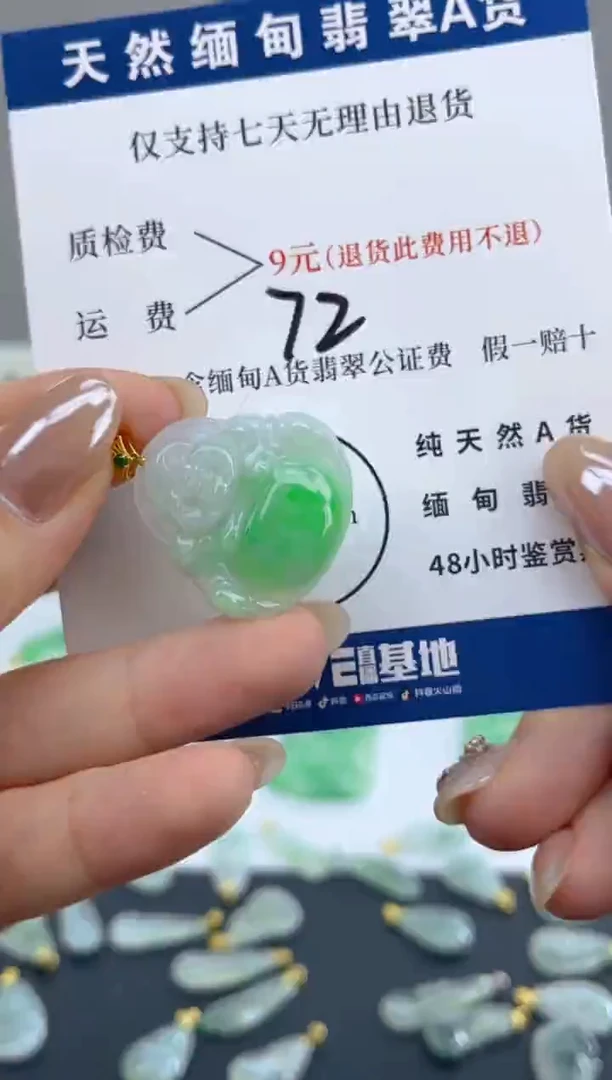 颈饰18K金镶嵌翡翠天然A货翡翠
