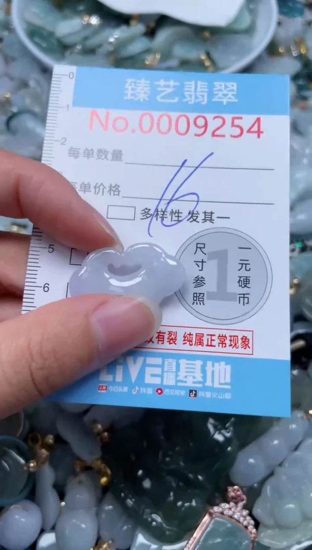 颈饰未镶嵌翡翠9254