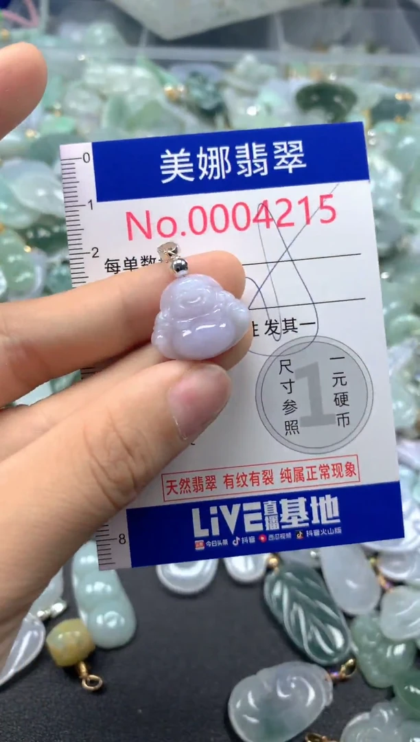 颈饰未镶嵌翡翠4215