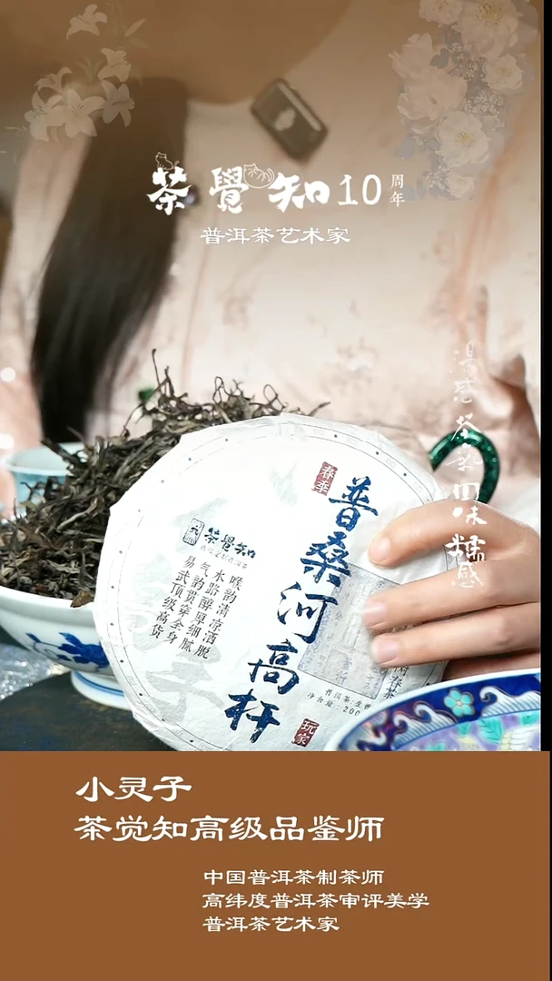 流***⁸2019年普桑河＋2024年普桑河