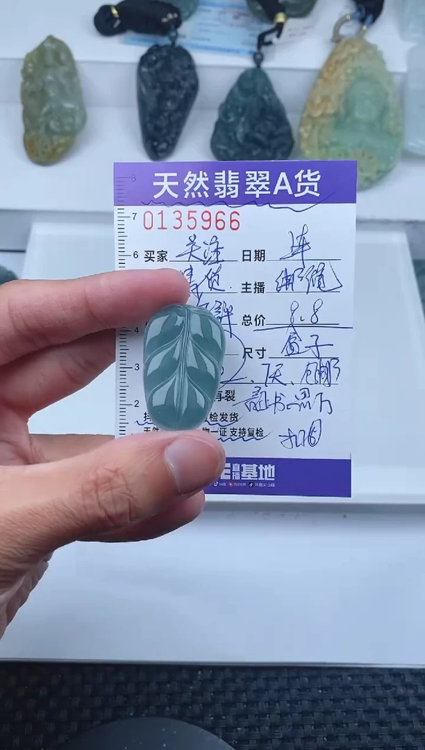 【闪购商品】翡翠颈饰未镶嵌       966