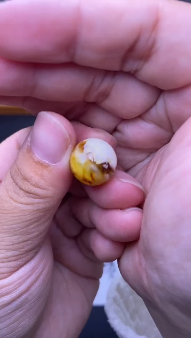 裸石琥珀未镶嵌大小姐珠宝严选85