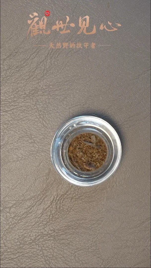 沉香沉香碎屑莱特沉水粉  1g