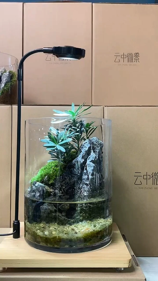 【闪购商品】孤品大圆缸微景观