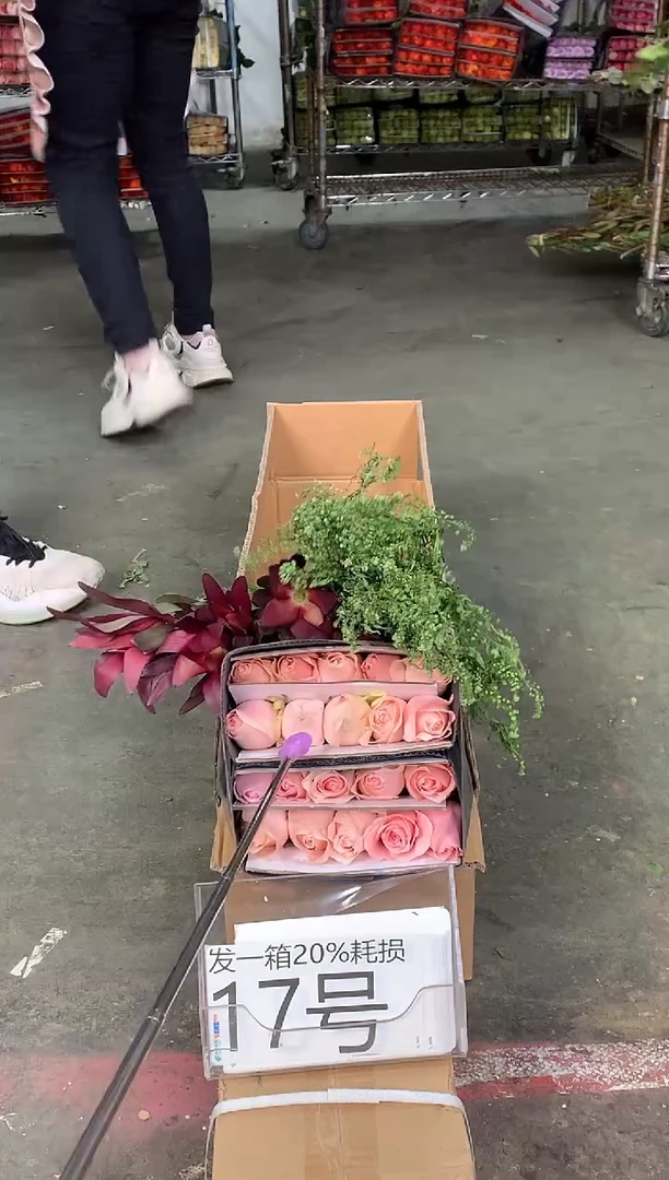 17号♥中通含20%耗损发一箱