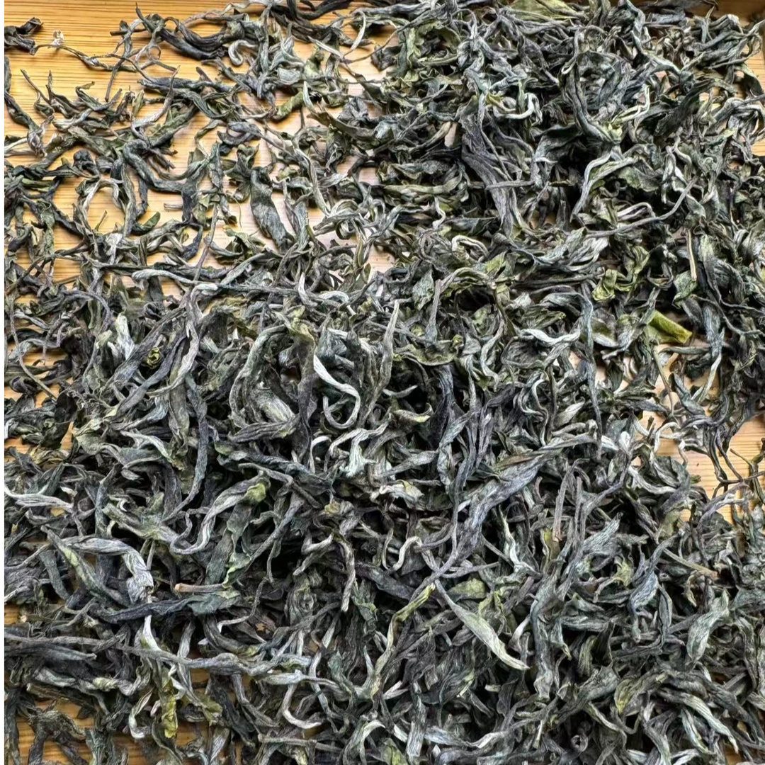 猫耳朵古树 2025年 头春头采 普洱茶生茶散茶