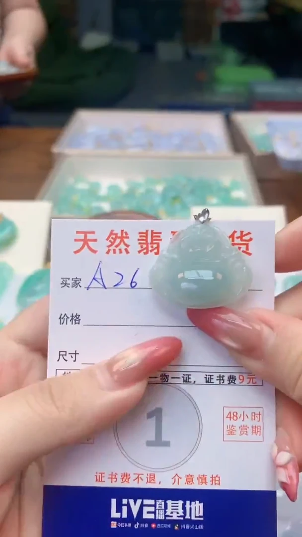 颈饰未镶嵌翡翠天然A货翡翠挂件