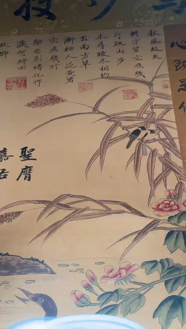 摆件直播精选推荐