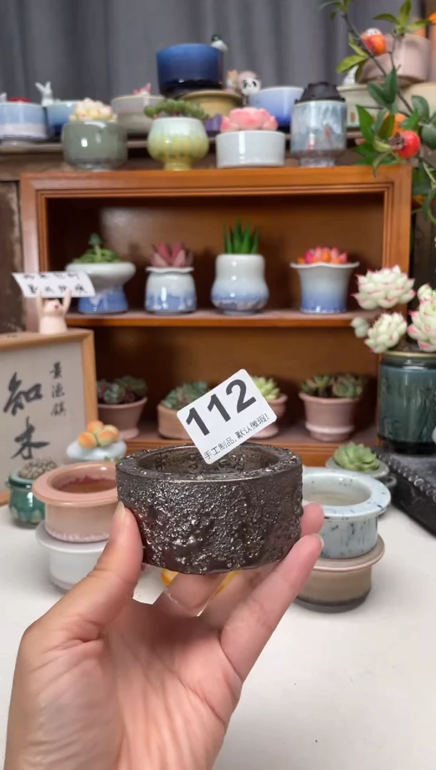 瓷片宗****y112知木小芳花盆编号