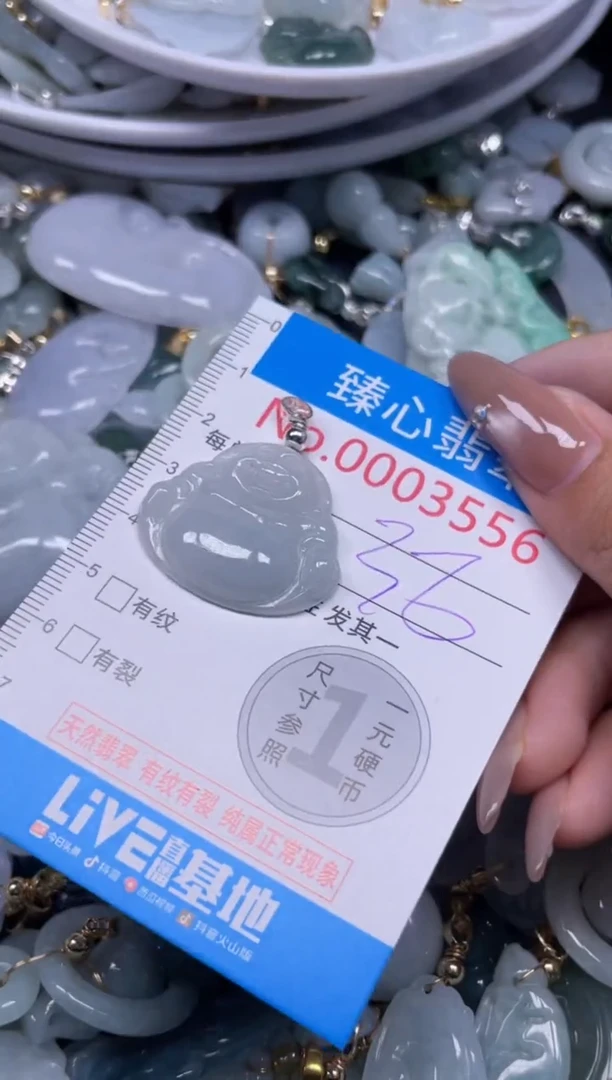 颈饰未镶嵌翡翠3556