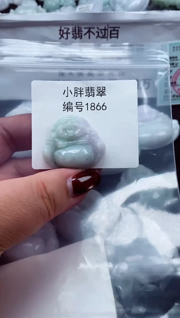 颈饰未镶嵌翡翠缅甸天然A货翡翠1866