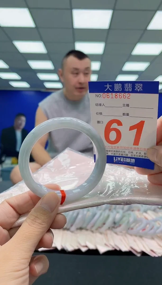未镶嵌手镯翡翠AAAAAAAAA