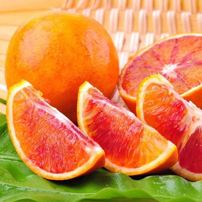 正宗四川资中塔罗科血橙应季水果血丝充足孕妇可吃水分充足彩箱