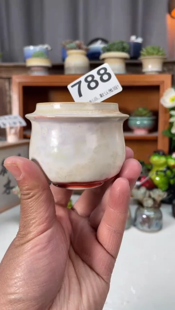 瓷片788小芳直播编号