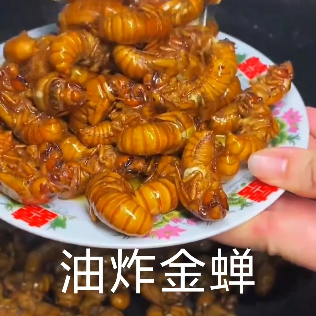 新疆专属新鲜金蝉知了猴个大饱满营养丰富顺丰包邮