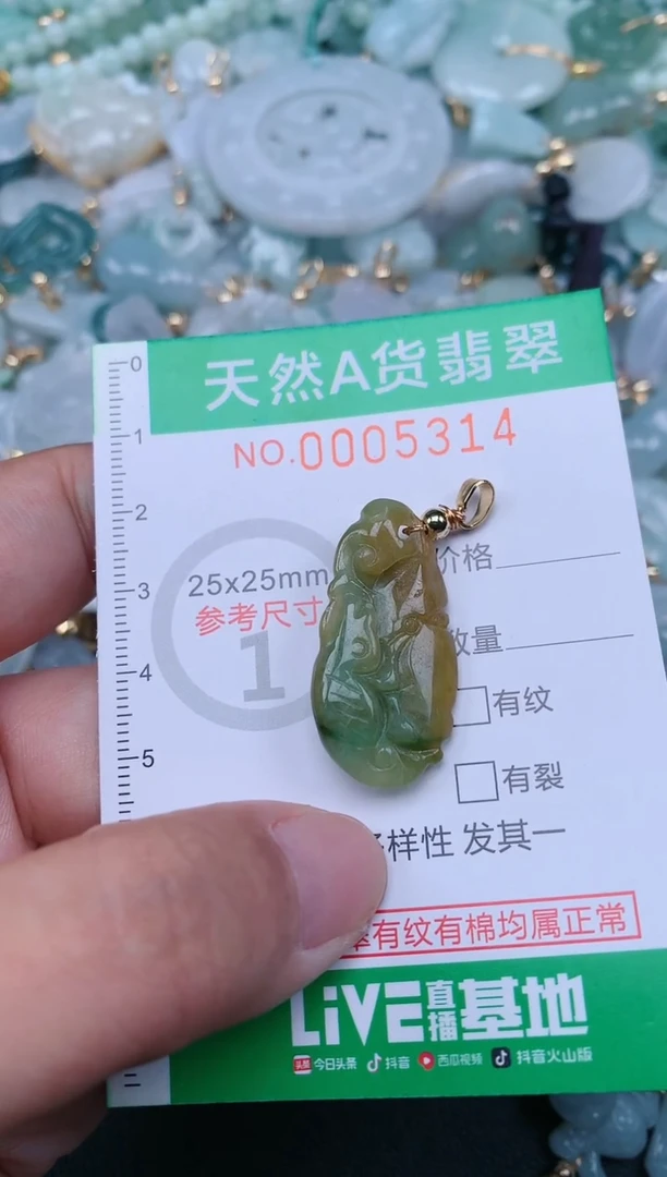 翡翠未镶嵌颈饰.0005314