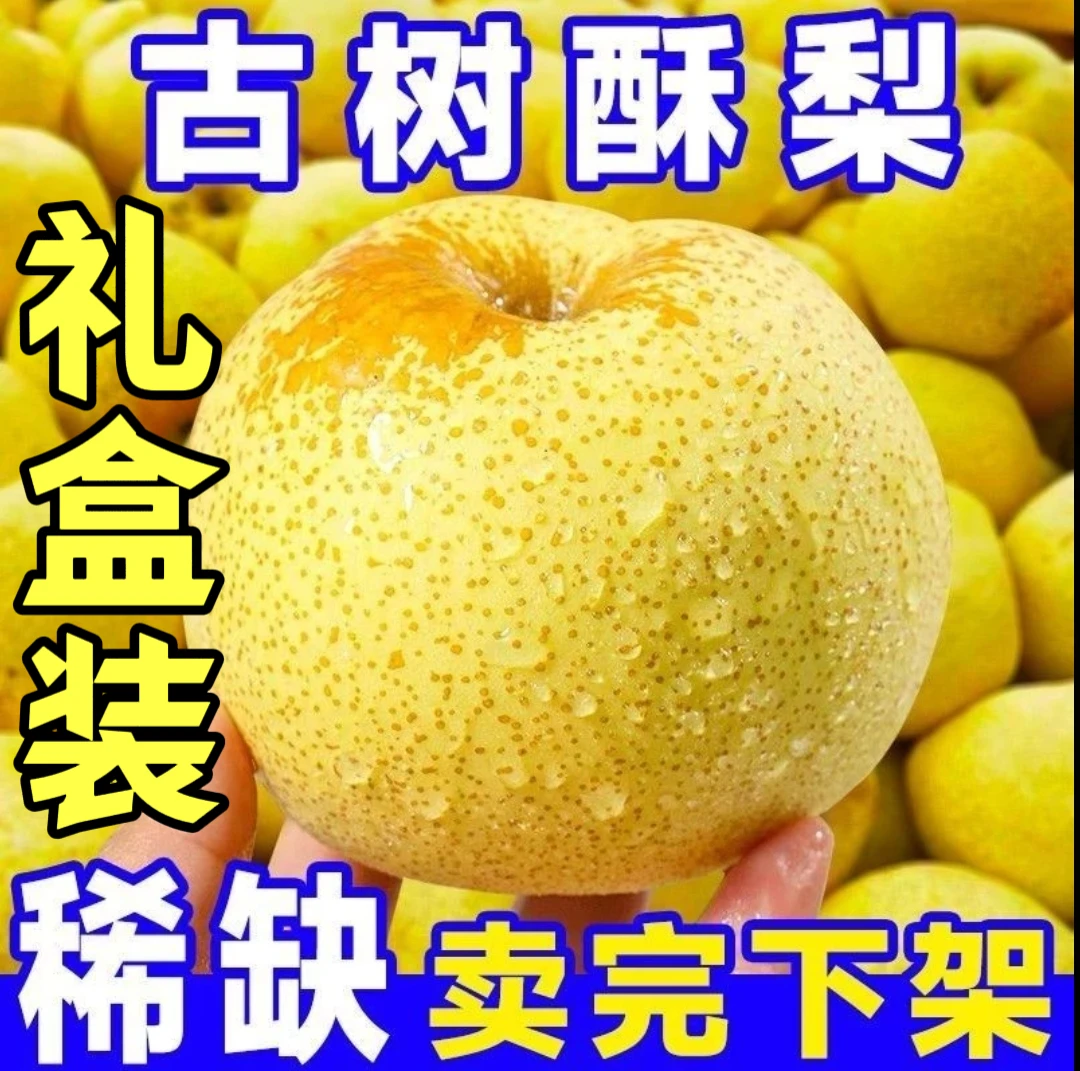 【砀山酥梨+礼盒包装】果园现摘 脆甜多汁 皮薄肉厚 坏果包赔