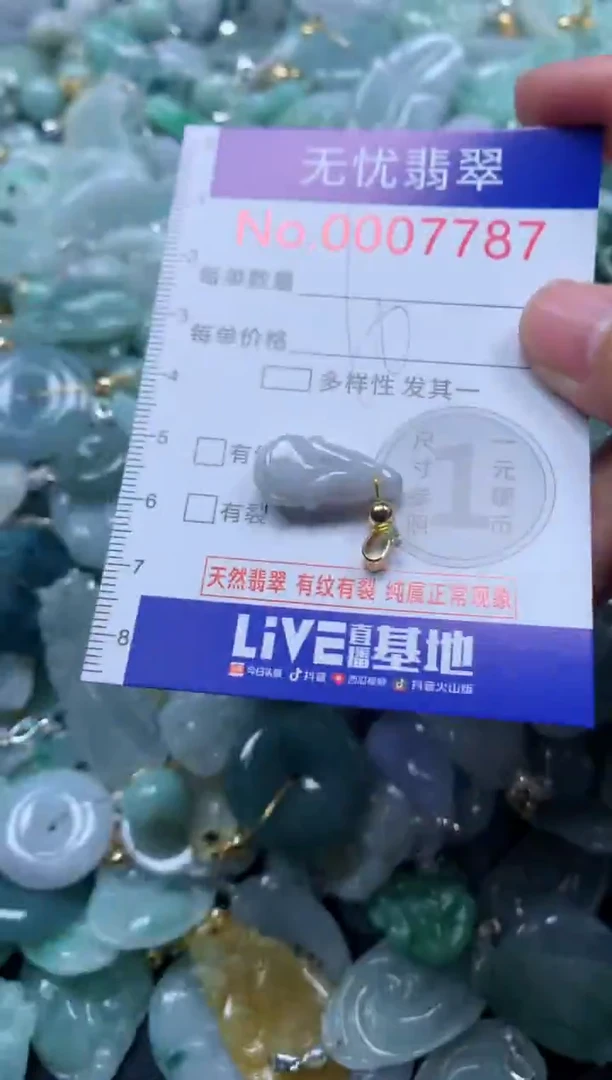 颈饰未镶嵌翡翠7787