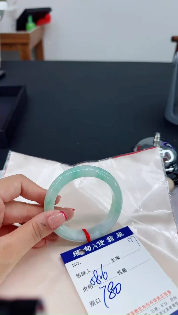 未镶嵌手镯翡翠11111