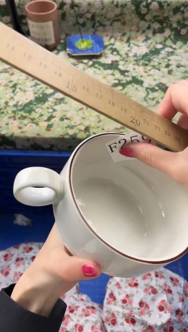 瓷片V****n       F259