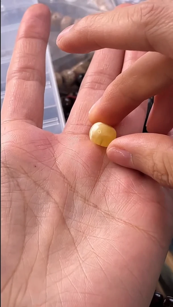 把件星月菩提ml面包圈隔珠