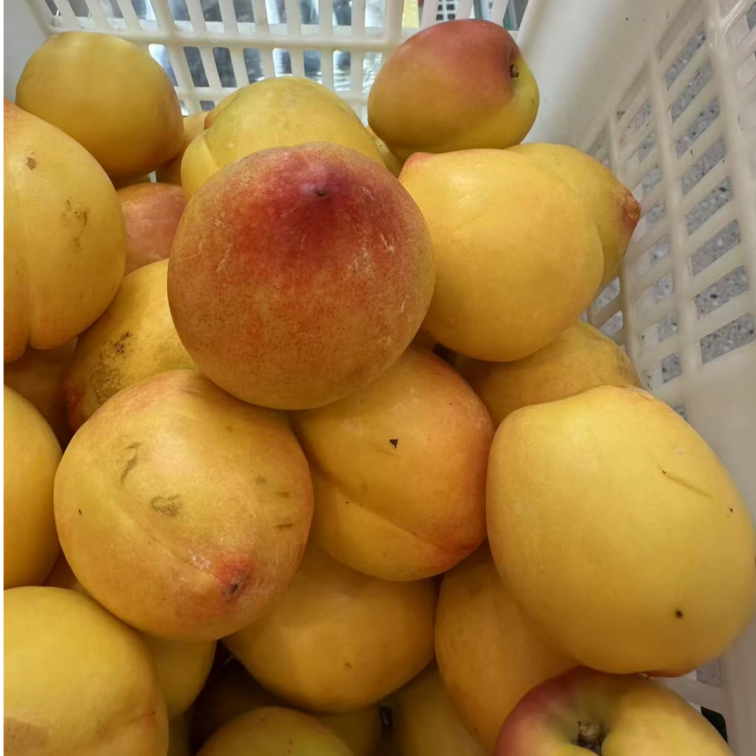 金蜜黄桃 500克装 约3个江苏省