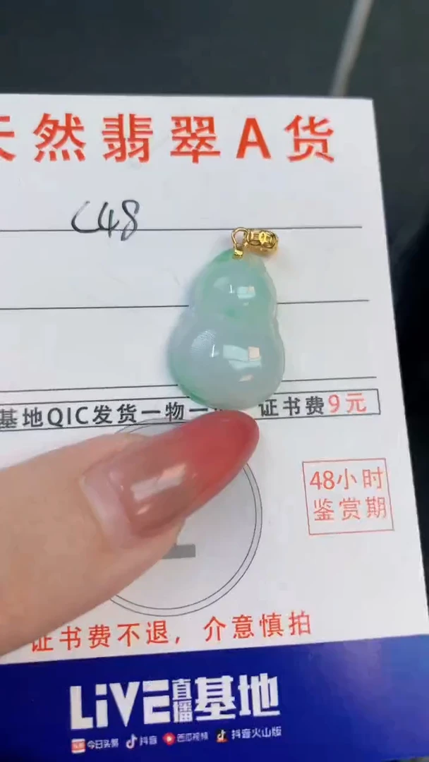 颈饰未镶嵌翡翠天然A货翡翠挂件