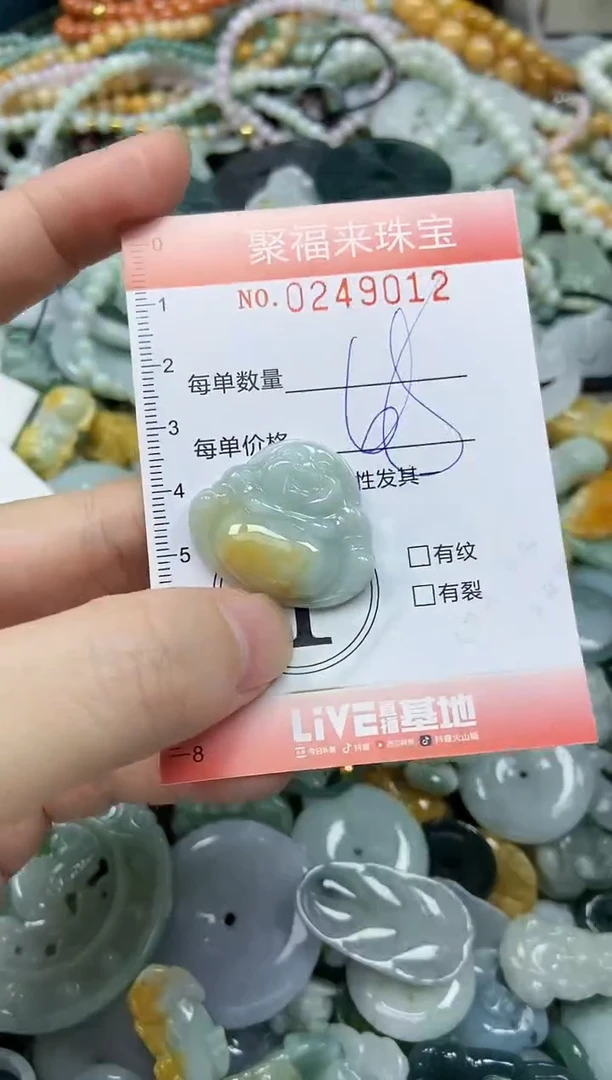 颈饰未镶嵌翡翠闪购0249012