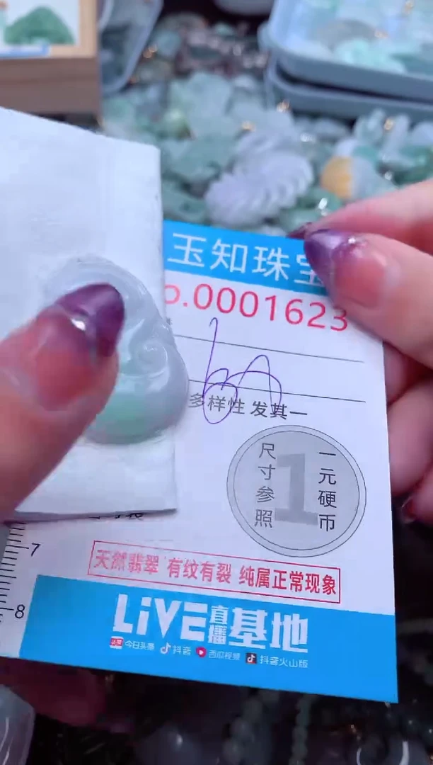 翡翠未镶嵌吊坠(不含链)1623