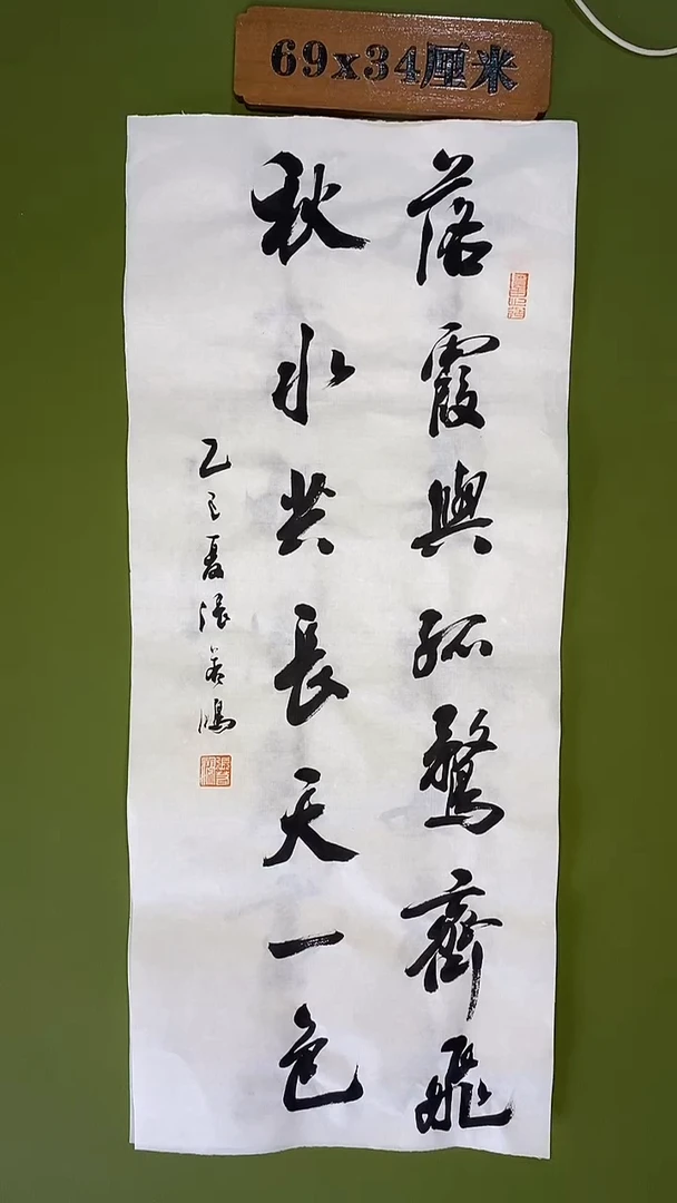 书法书法 张若鸿 尺寸69cm*28cm
