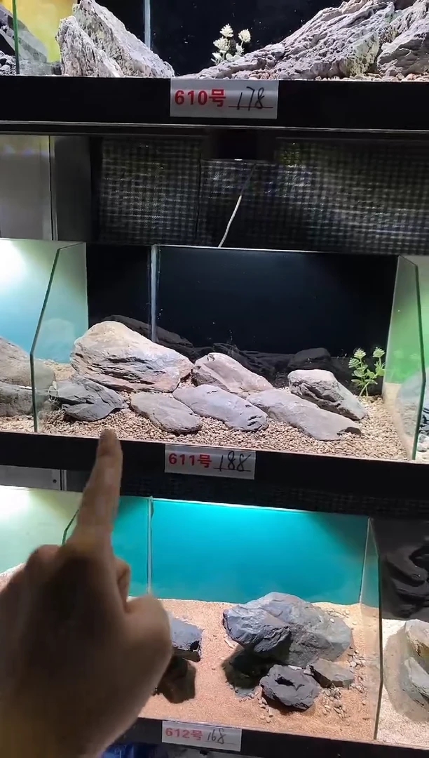 611号鱼缸造景（不含底砂）