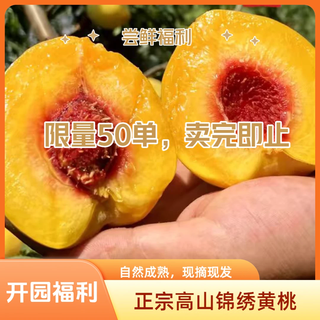【顺丰包邮】现摘锦绣黄桃桃香十足孕妇水果新鲜当季脆香甜坏果包赔