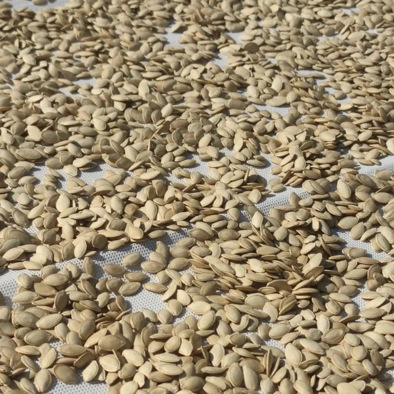 原味新货自晒大颗粒南瓜子