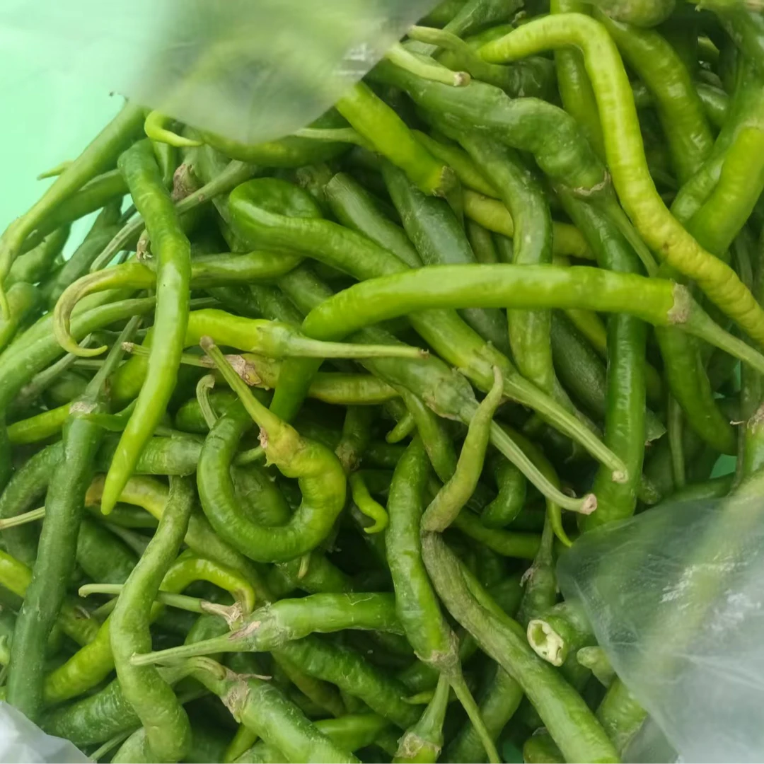 新鲜青椒微辣农家自种