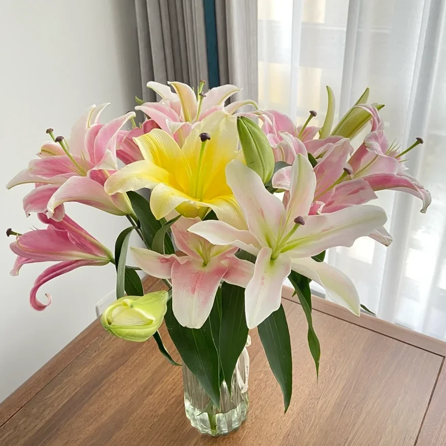 【全疆京东包邮】百合混拼(4-7枝，10朵花）