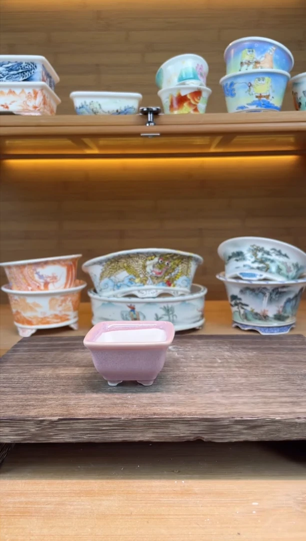 【闪购商品】红陶【60784】福利5*2.5