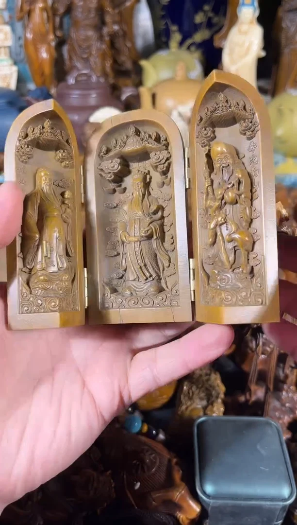 黄杨木1111111111111111111