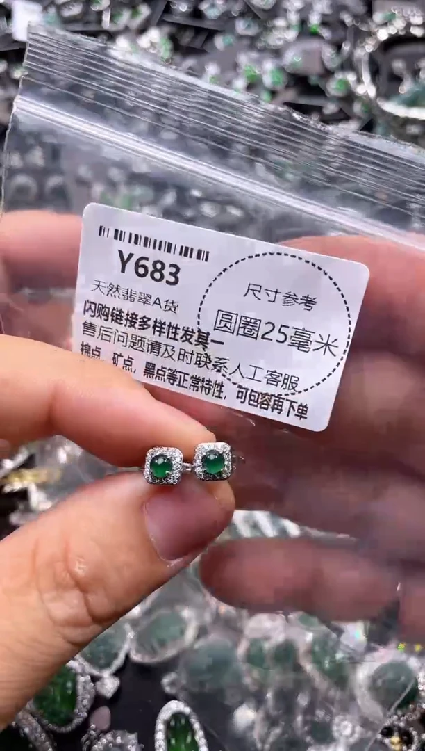 翡翠未镶嵌颈饰Y683耳扣