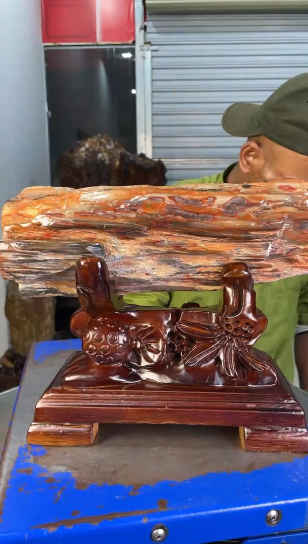 未镶嵌摆件硅化玉33