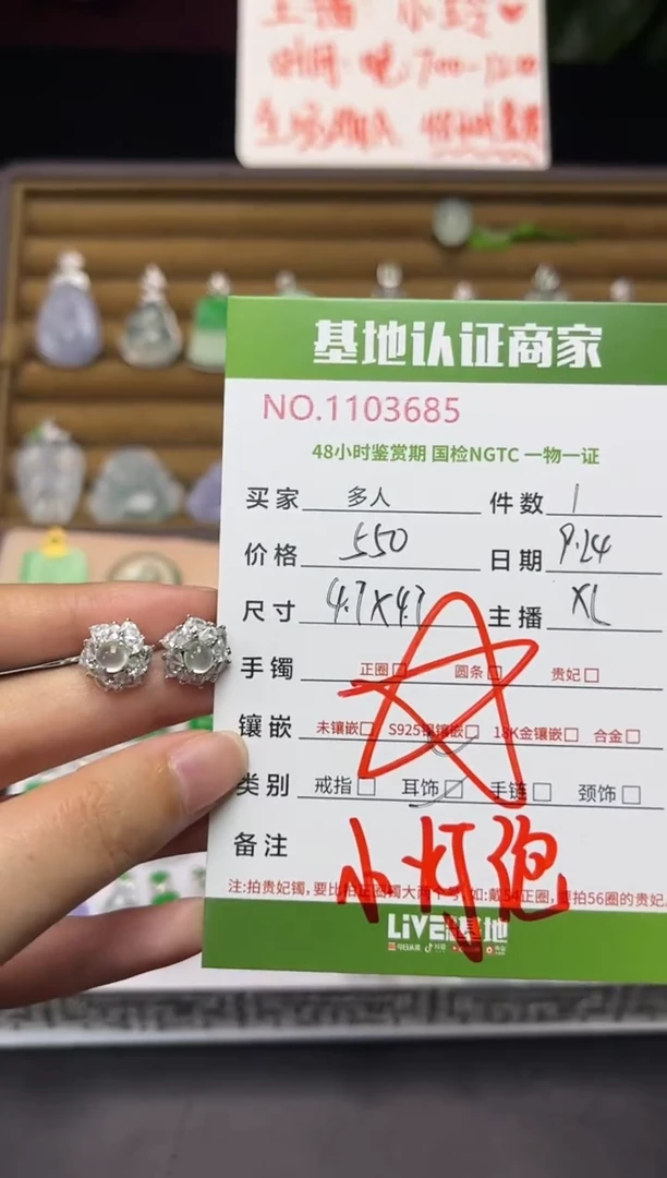 银S925镶嵌翡翠耳饰多人