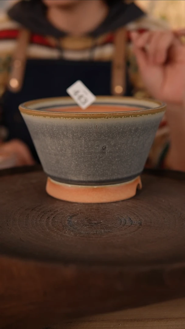 【闪购商品】陶瓷2-9-443默认微瑕口径14