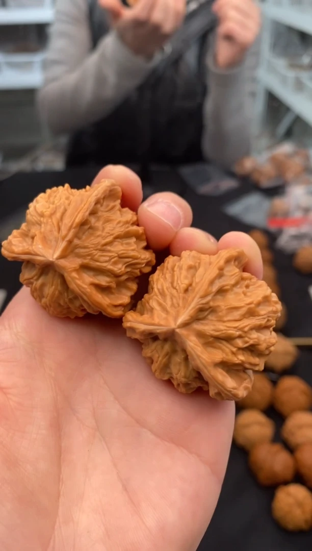 【闪购商品】文玩核桃把件盘山奔38-t653