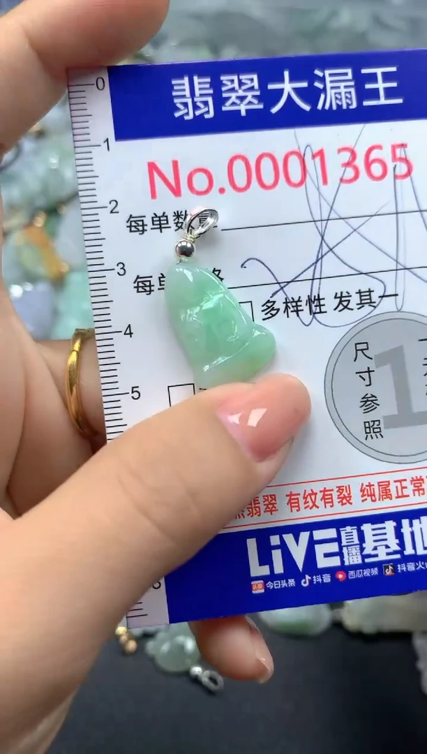 颈饰未镶嵌翡翠1365