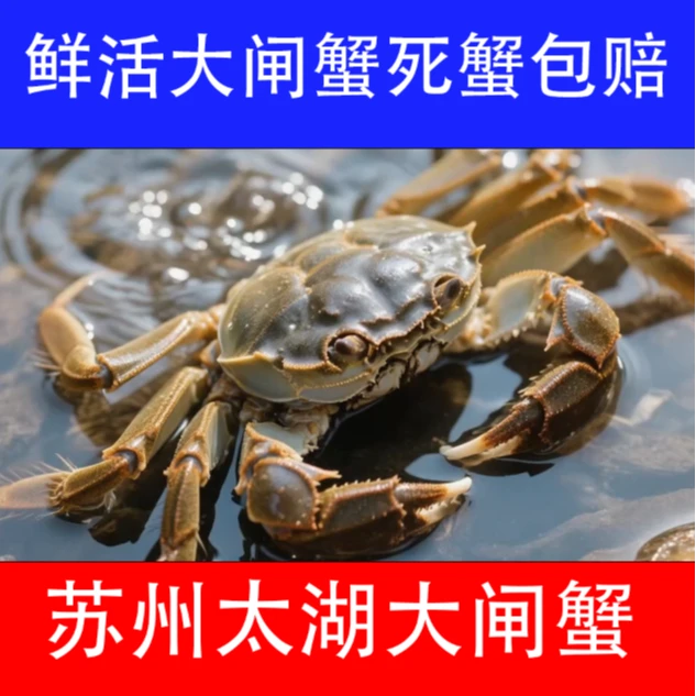 6只鲜活大闸蟹 公蟹（1.4-1.7两）/只