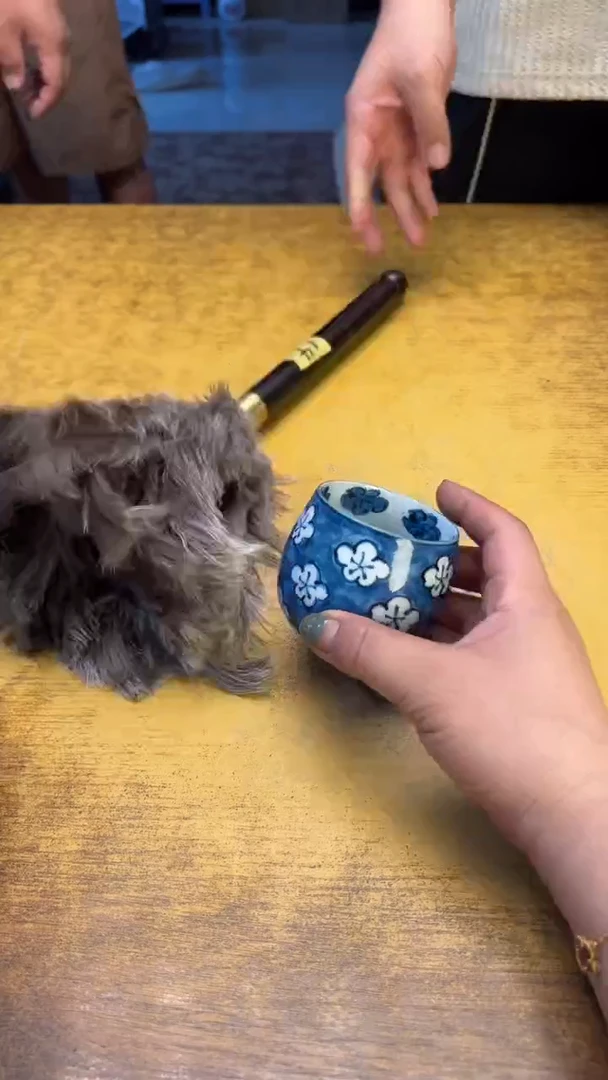 瓷器瓷器瓷器瑕疵14