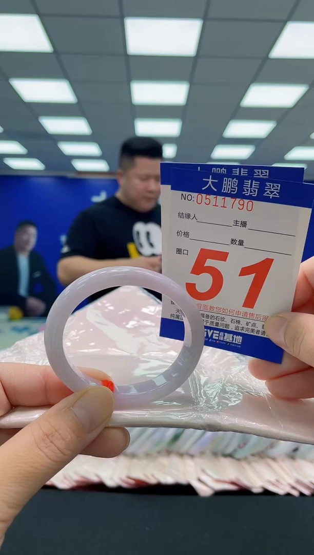 未镶嵌手镯翡翠AAAAAAAAA